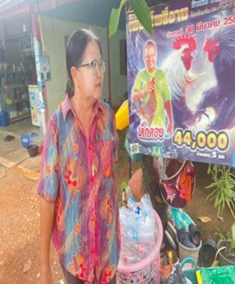 รูปแนบ