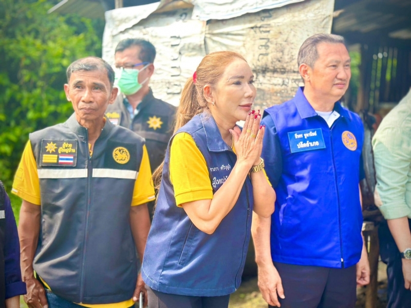 รูปแนบ