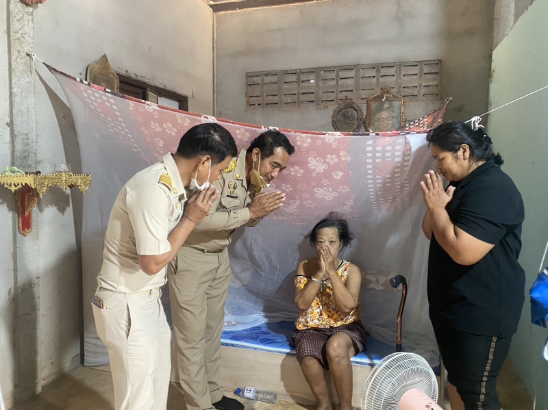 รูปแนบ