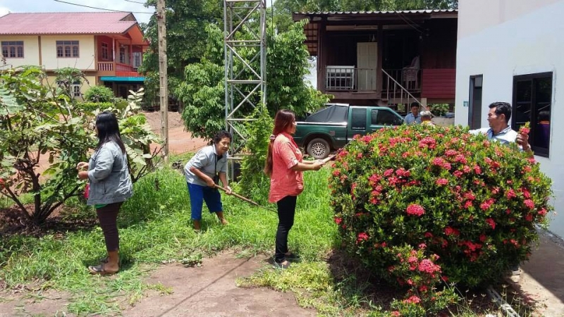 รูปแนบ