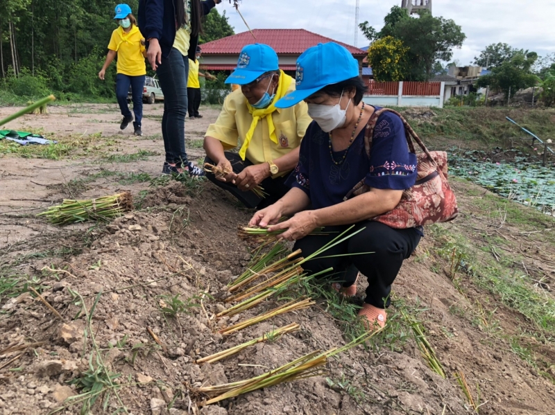 รูปแนบ