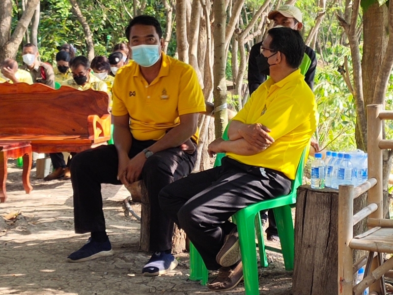 รูปแนบ