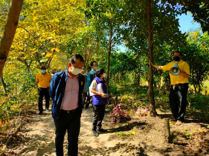รูปแนบ