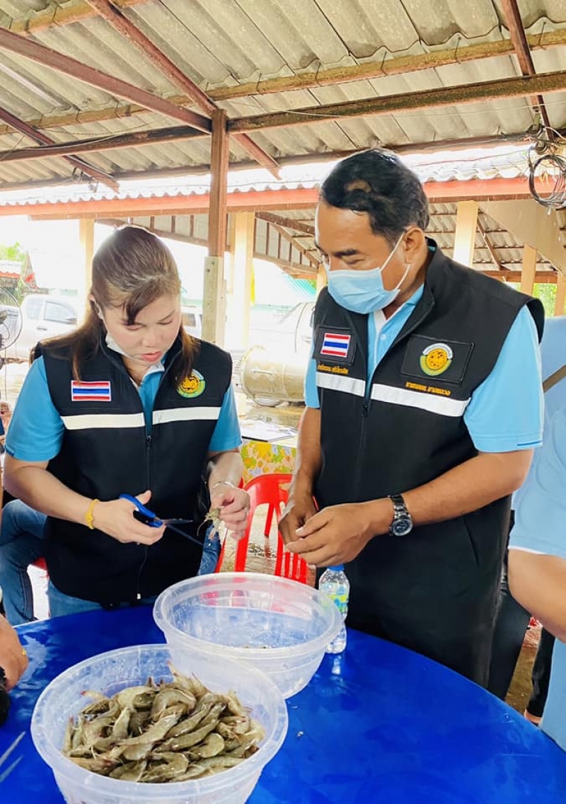รูปแนบ