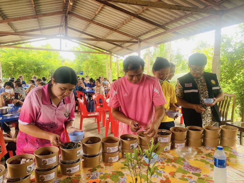 รูปแนบ