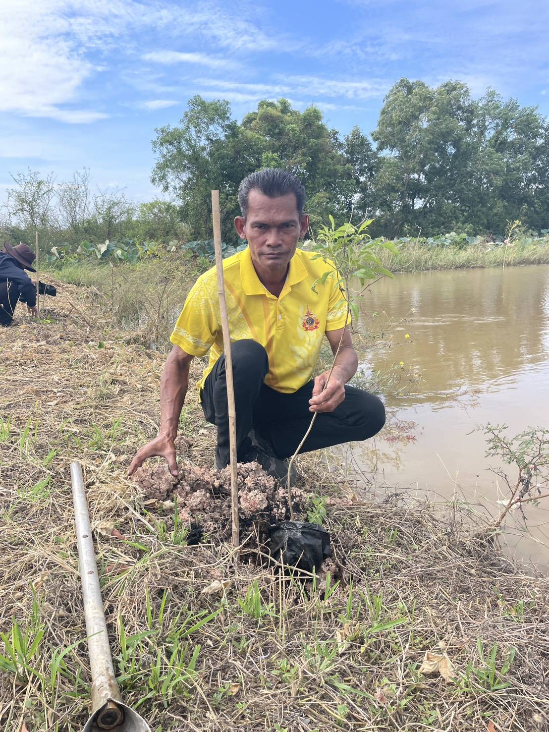 รูปแนบ